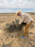 Load image into Gallery viewer, Santa Fe Sensory & Spiritual Plant Workshop
