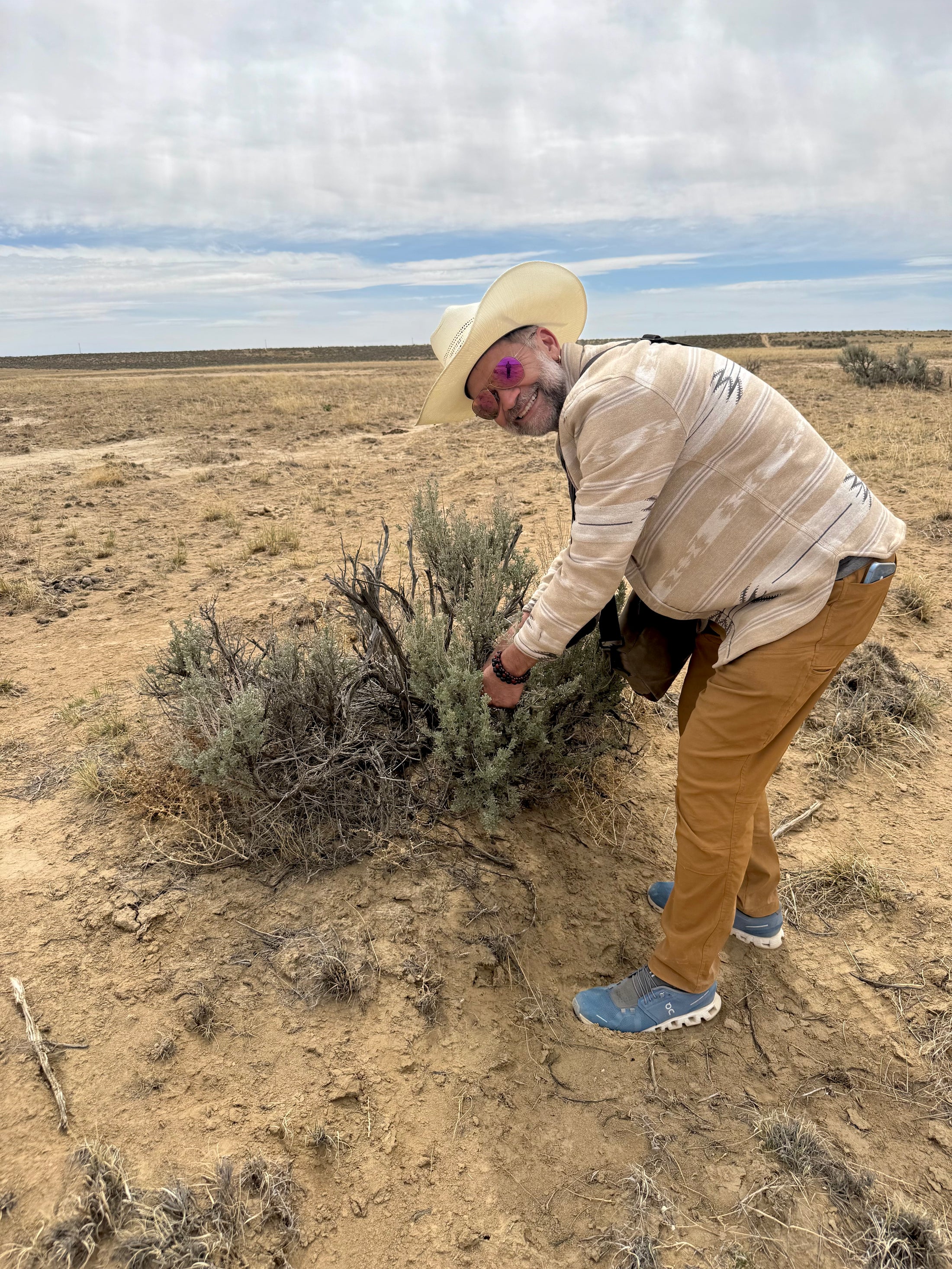 Santa Fe Sensory & Spiritual Plant Workshop