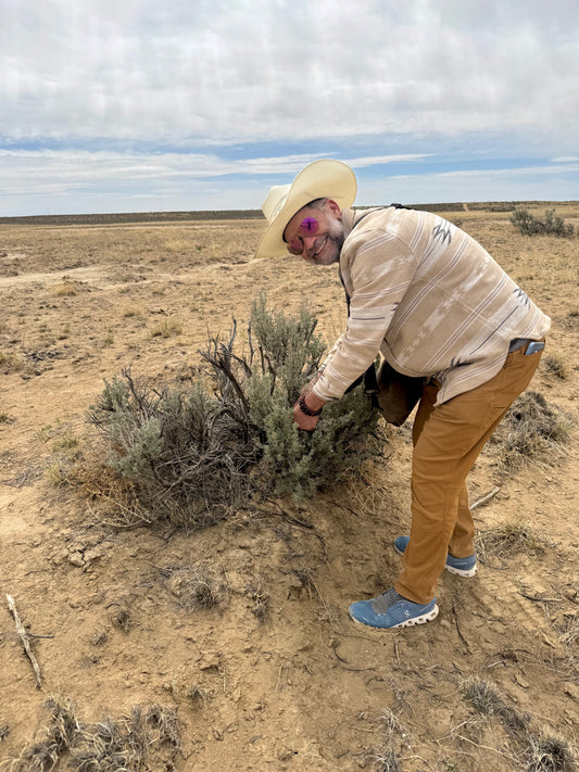 Santa Fe Sensory & Spiritual Plant Workshop